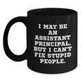Funny Assistant Principal Gifts from Friends for Men Graduation Unique Mugs I May Be An Assistant Principal But I Cant Fix Stupid People - Main