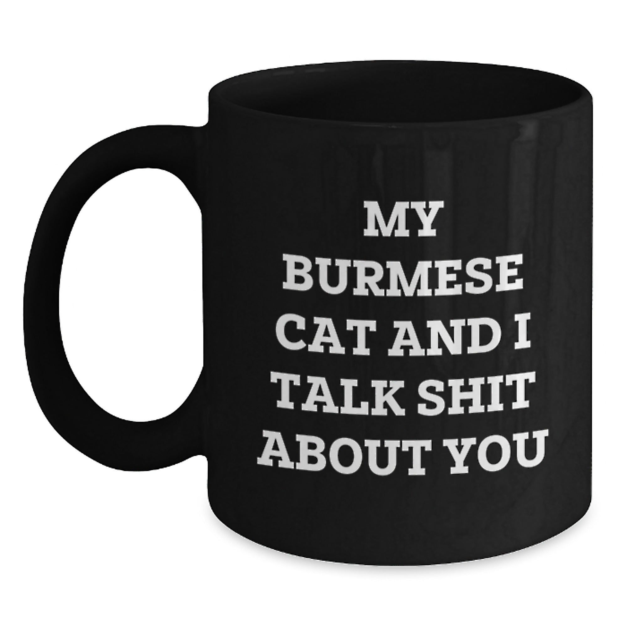 Burmese Cat Lovers Funny Mugs Gifts for Dad from Men on Father's Day Unique - Main