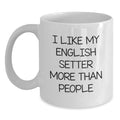 English Setter Dog Lovers Funny Quote Gifts from Friends and Family for Birthday Unique White Coffee Mug - Main