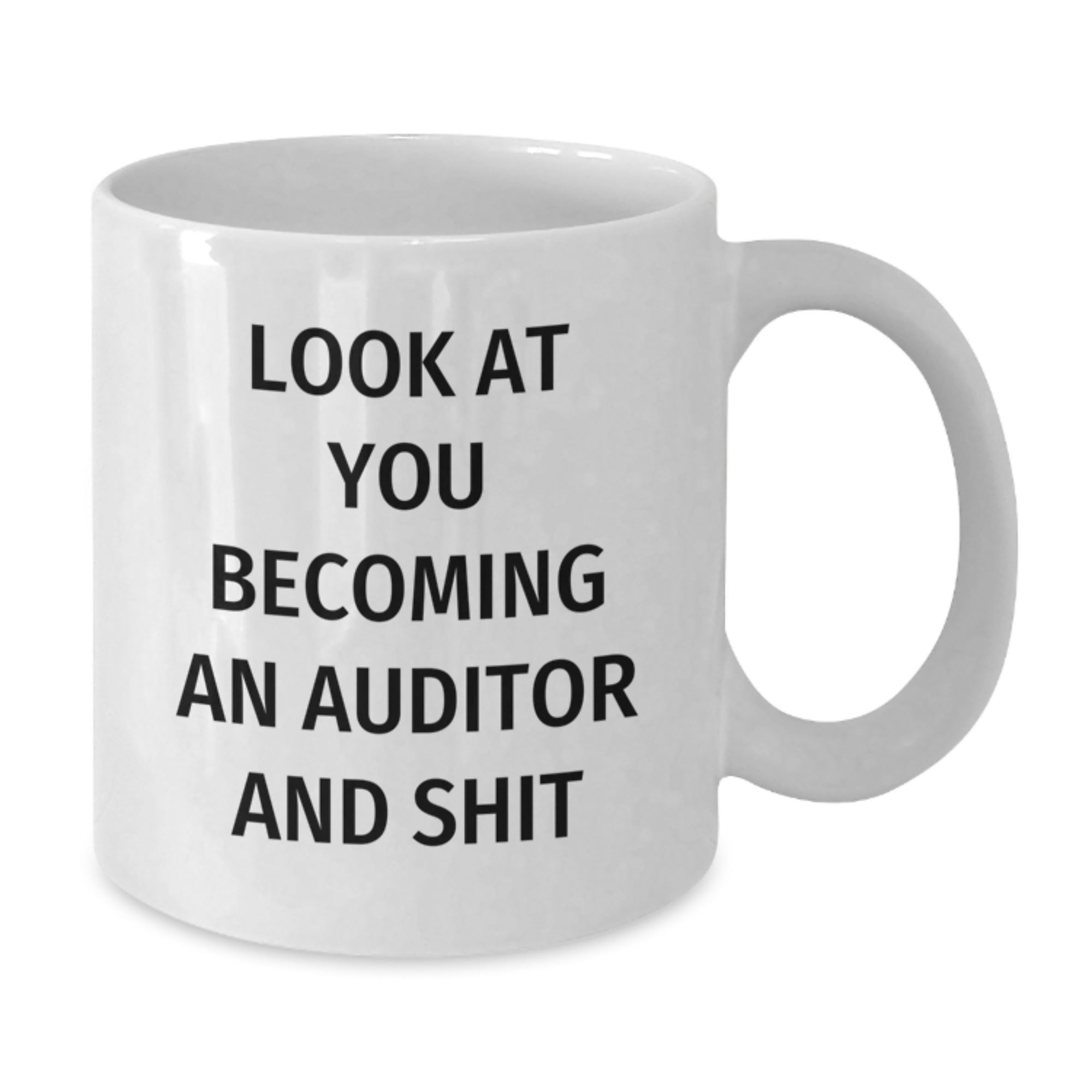 Funny Auditor Gifts from Mom on Mother's Day - 'Look At You Becoming An Auditor' White Coffee Mug for Auditor Friends and Family - Additional