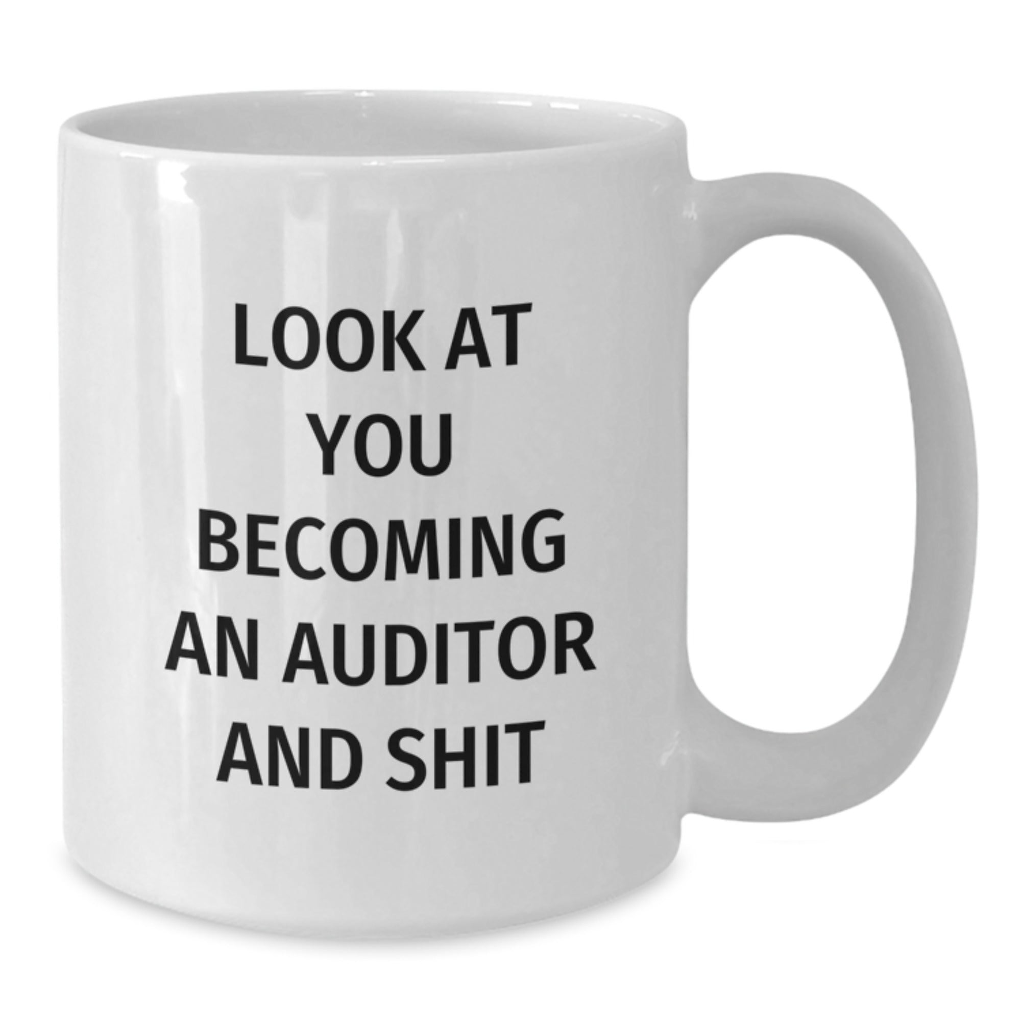Funny Auditor Gifts from Mom on Mother's Day - 'Look At You Becoming An Auditor' White Coffee Mug for Auditor Friends and Family - Additional