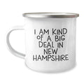 Funny New Hampshire Camping Mug Gifts from Family Friends Mother's Day Unique - Image 1