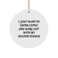Funny Boston Terrier Dog Circle Ornament Gifts for Boston Terrier Owners from Friends, Unique Christmas Decorations - Image 1
