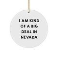 Funny Nevada Circle Ornaments Gifts from Men Women Friends for Christmas Unique Nevada Decorations - Image 1