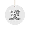 New Hampshire Funny Circle Ornaments, Gifts from Friends to Family in New Hampshire, Christmas Unique Decorations - Image 1