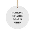 Funny Ohio Gifts from Friends, Unique Circle Ornament for Ohioans, I Am Kind Of A Prime Selection In Ohio Christmas Decorations - Image 1