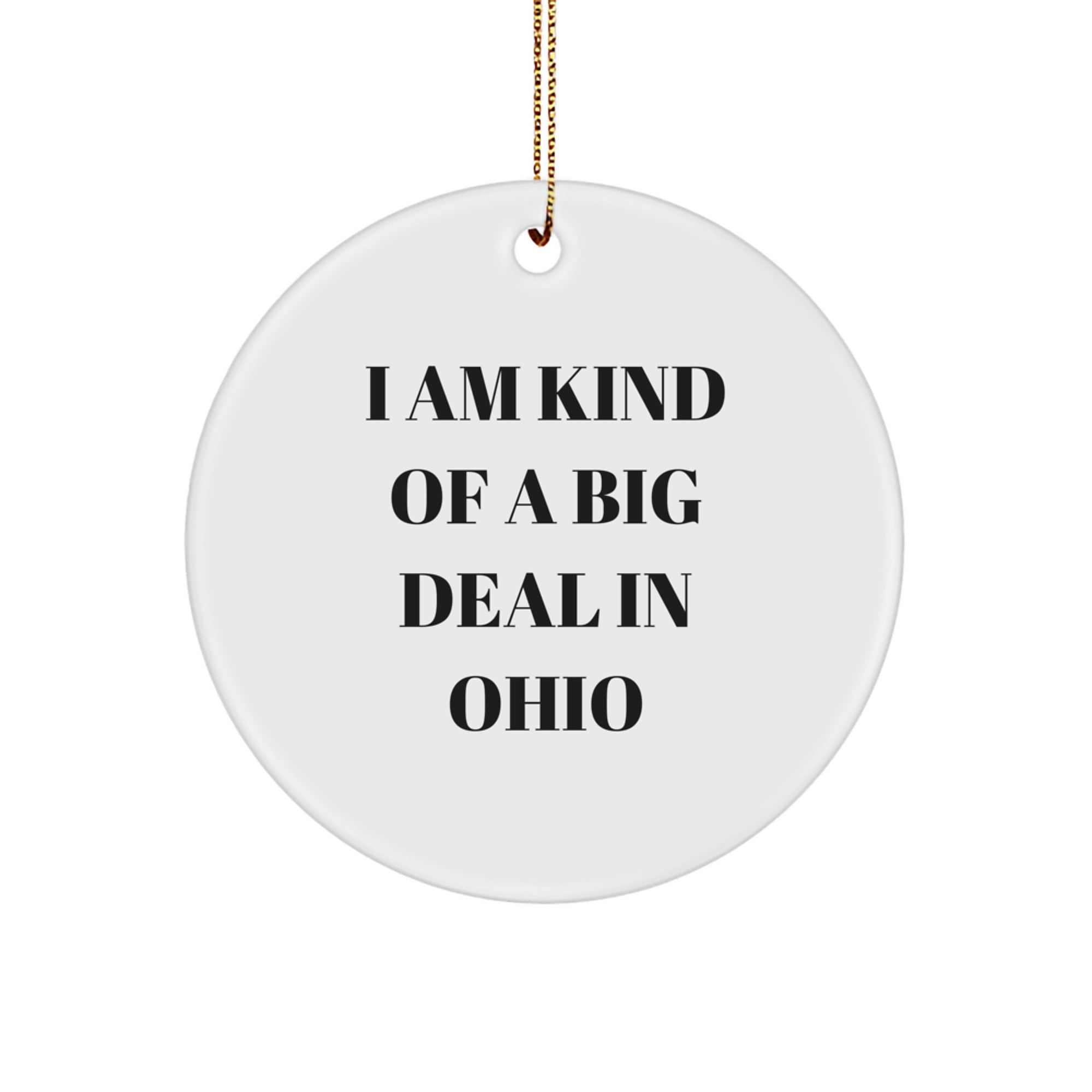 Funny Ohio Gifts from Friends, Unique Circle Ornament for Ohioans, I Am Kind Of A Prime Selection In Ohio Christmas Decorations - Image 1