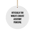 Funny Assistant Principal Gifts for Men - Officially The World's Coolest Assistant Principal, Circle Ornament, Christmas Unique Gifts from Friends, Family - Image 1