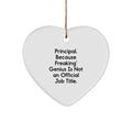 Funny Principal Gifts Heart Ornament for Principal - Principal Because Freaking genius Is Not An Official Job Title - Christmas Unique Gifts from Men to Principal - Image 1