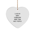 Funny Giant Schnauzer Dog Gifts for Men, Women, Family from Friends, 'I Love My Giant Schnauzer More Than Most People' Heart Ornament Christmas Unique Gifts - Image 1