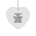 Funny Truck Driver Gifts for Men, Look At You Becoming A Truck Driver And Shit Heart Ornament, Christmas Unique Gifts from Family - Image 1