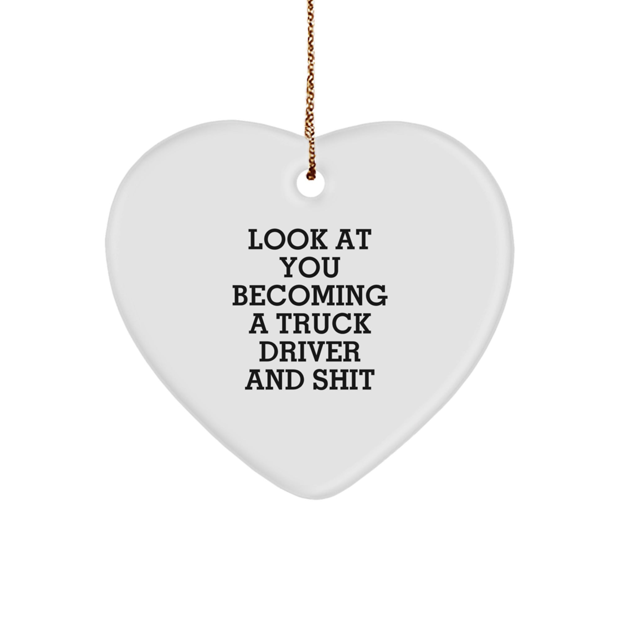 Funny Truck Driver Gifts for Men, Look At You Becoming A Truck Driver And Shit Heart Ornament, Christmas Unique Gifts from Family - Image 1