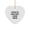 Funny Assistant Principal Heart Ornament Gifts from Men to Assistant Principal Friends for Christmas - Image 1