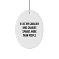 Funny Cavalier King Charles Spaniel Dog Gifts for Men - I Like My Cavalier King Charles Spaniel More Than People Oval Ornament, Christmas Unique Gifts from Family - Image 1