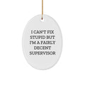 Funny Supervisor Gifts for Men Women Friends Christmas Oval Ornament 'I Can't Fix Stupid' - Image 1
