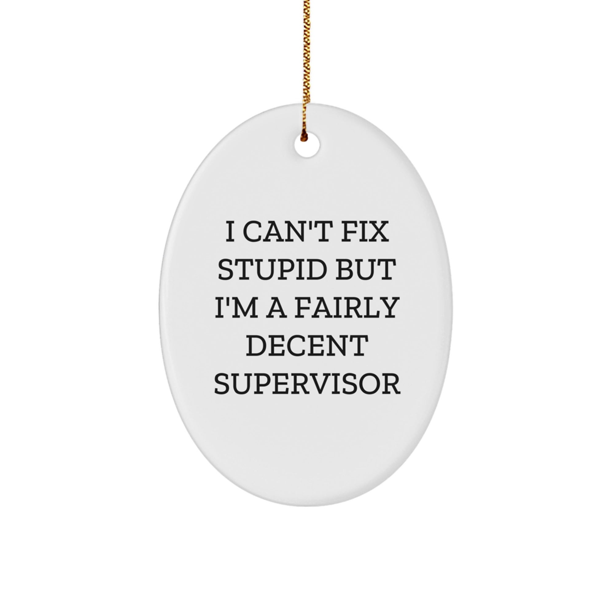 Funny Supervisor Gifts for Men Women Friends Christmas Oval Ornament 'I Can't Fix Stupid' - Image 1