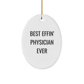 Funny Gifts for Physicians, Christmas Unique Gifts from Friends, Best Effin' Physician Ever Oval Ornament - Image 1