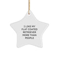 Funny Flat Coated Retriever Dog Gifts for Home, Star Ornament, I Like My Flat Coated Retriever More Than People, Christmas Decorations, Gifts from Family to Family - Image 1