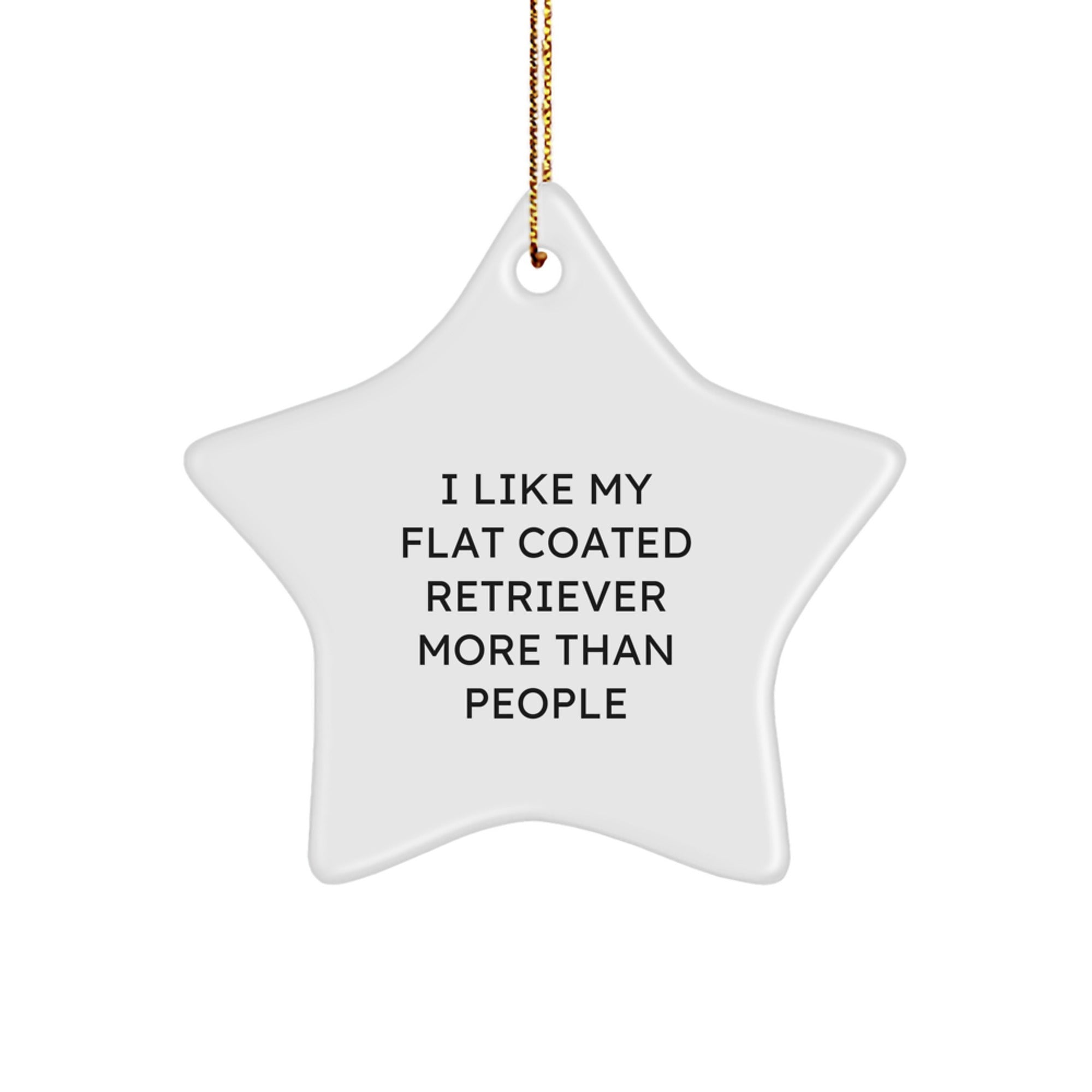 Funny Flat Coated Retriever Dog Gifts for Home, Star Ornament, I Like My Flat Coated Retriever More Than People, Christmas Decorations, Gifts from Family to Family - Image 1