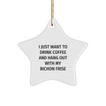 Funny Bichon Frise Dog Gifts, Christmas Unique Ornaments for Bichon Frise Dog Lovers, Star Ornament from Friends - Image 1