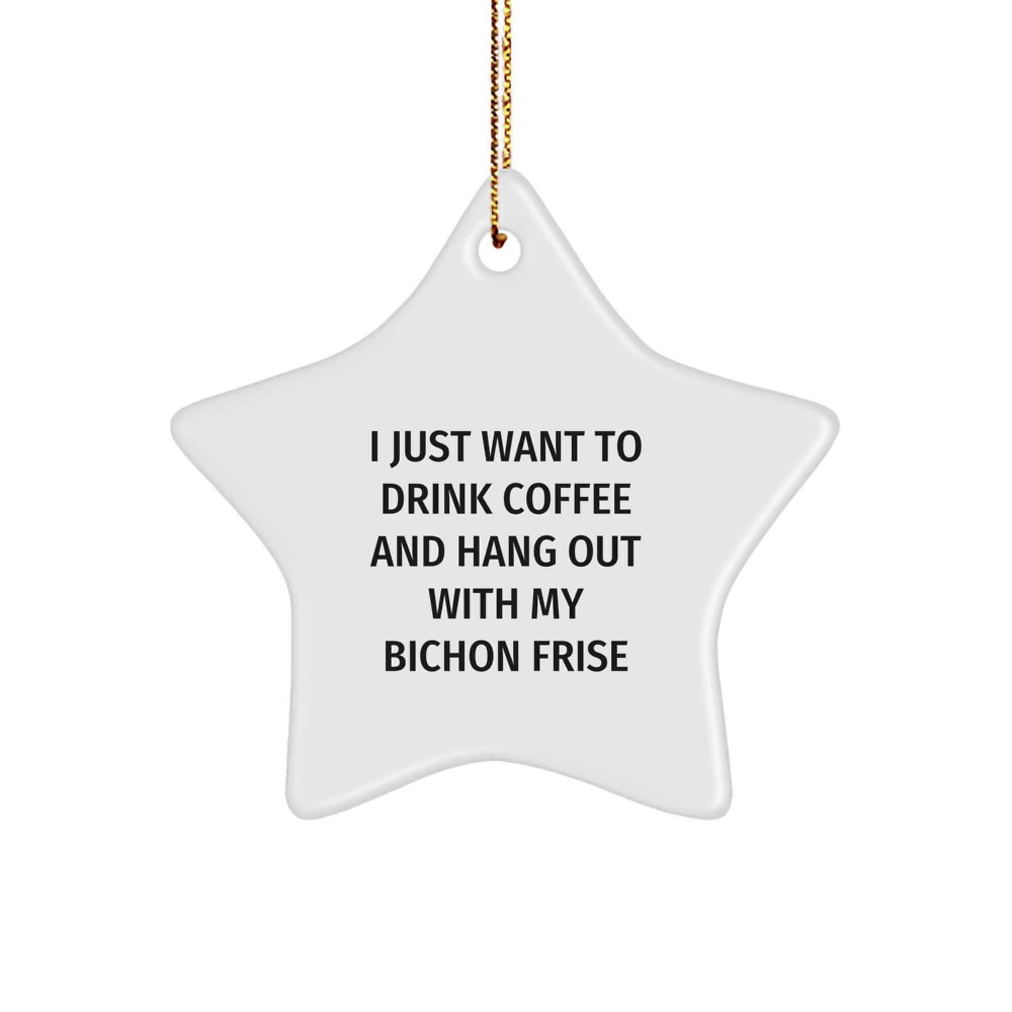 Funny Bichon Frise Dog Gifts, Christmas Unique Ornaments for Bichon Frise Dog Lovers, Star Ornament from Friends - Image 1
