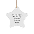 Funny Assistant Principal Gifts from Friends, Cute Star Ornament for Christmas Unique Gifts, Do Not Make Me Use My Assistant Principal Voice - Image 1
