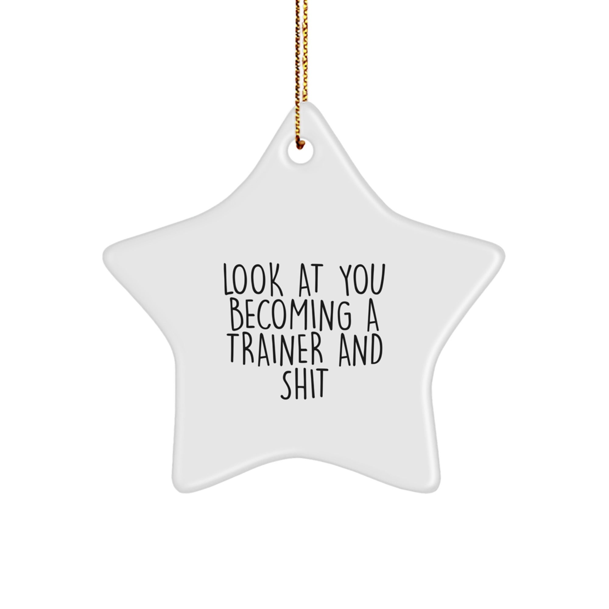 Funny Trainer Gifts from You - Star Ornament for Christmas Unique Gifts, Trainer Star Ornament, Look At You Becoming A Trainer And Shit - Image 1