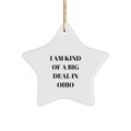 Funny Ohio Star Ornament Gifts from Men to Women Friends Family - Christmas Unique Gifts for Ohio Residents - Image 1