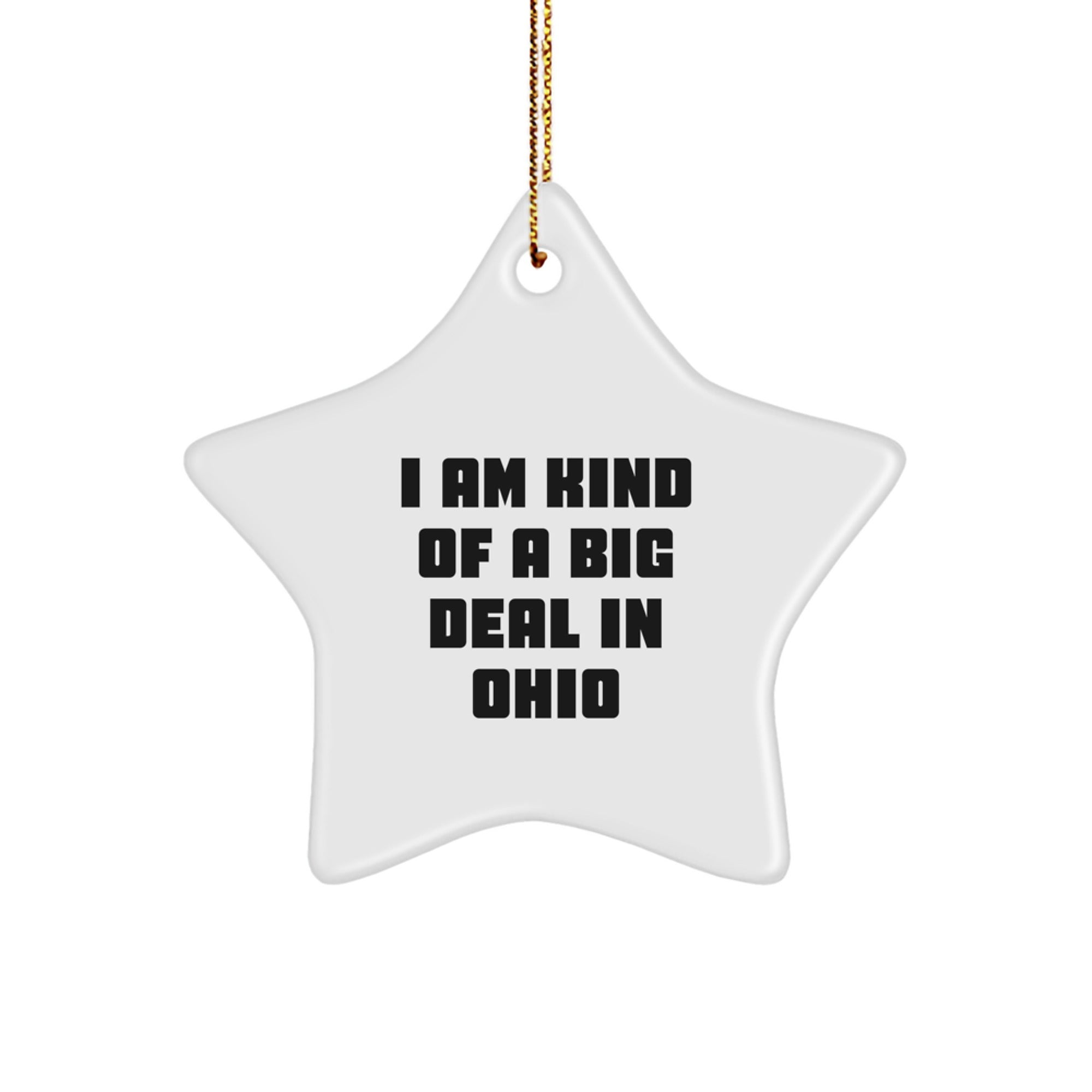 Funny Ohio Star Ornaments Gifts from Friends for Men and Women, Christmas Unique Ohio Decorations, I Am Kind Of A Prime Selection In Ohio - Image 1