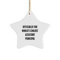 Funny Assistant Principal Gifts for Christmas - Star Ornament Officially The World's Coolest Assistant Principal - Image 1